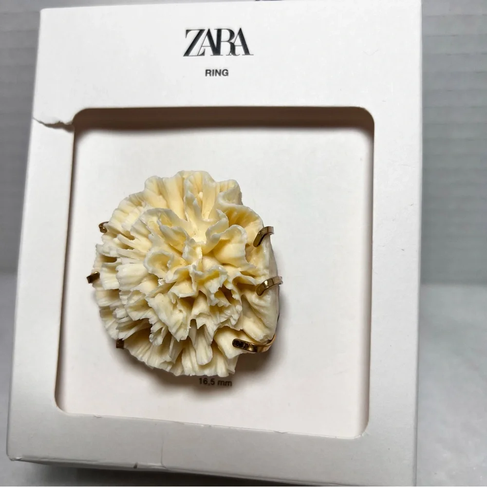 Zara resin chunky